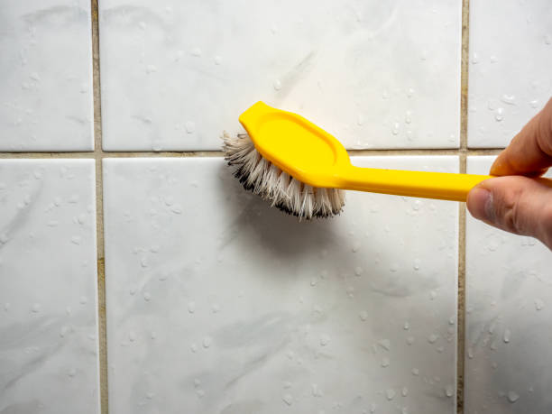 Best Residential Mold Removal  in Leetsdale, PA