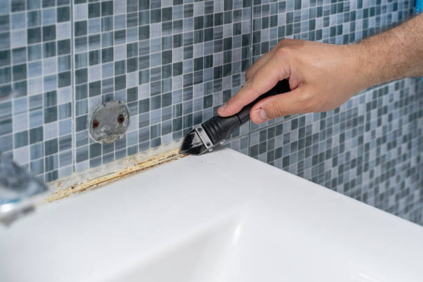 Best Emergency Mold Removal  in Leetsdale, PA